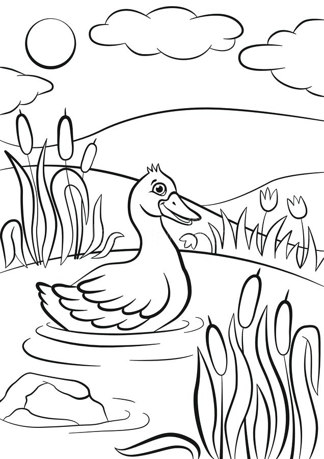 636x900 Little Cute Duck Swims On The Pond Its Smiling Stock Vector