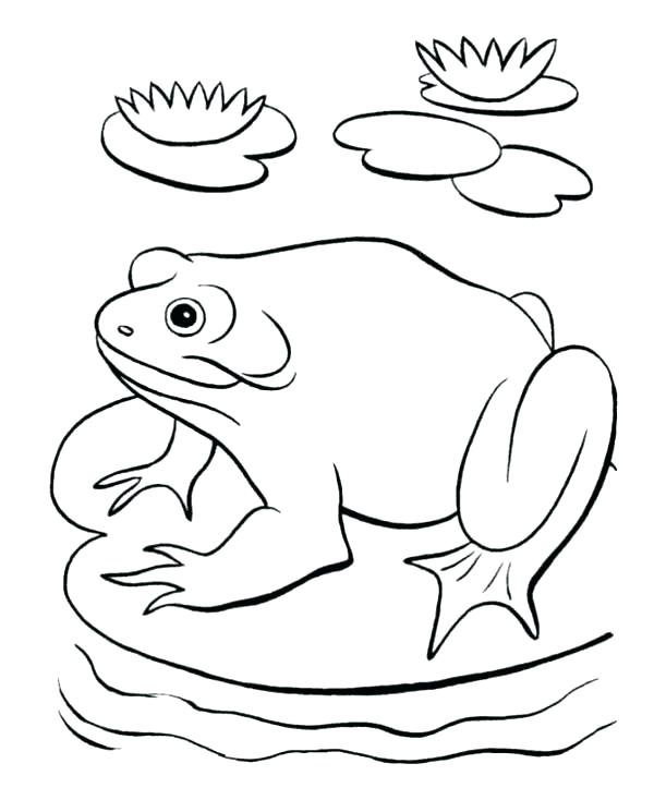 600x734 Pond Animals Coloring Pages Pond Coloring Page Pond Coloring Page