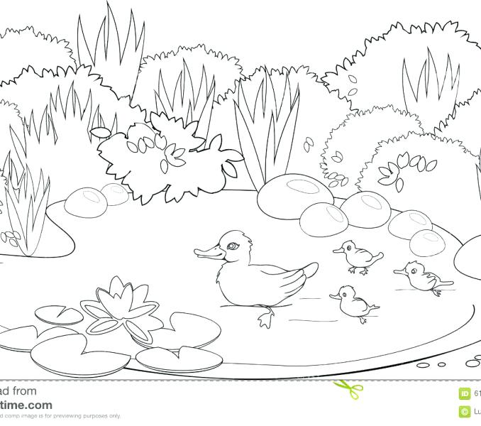678x600 Pond Coloring Page Images Pond Coloring Pages Spring Pond Coloring