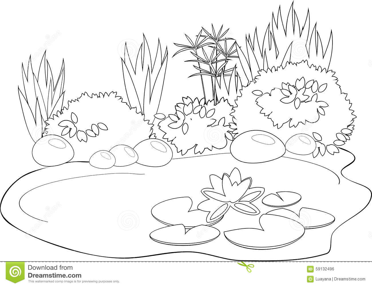 1300x1004 Pond Coloring Pages 3