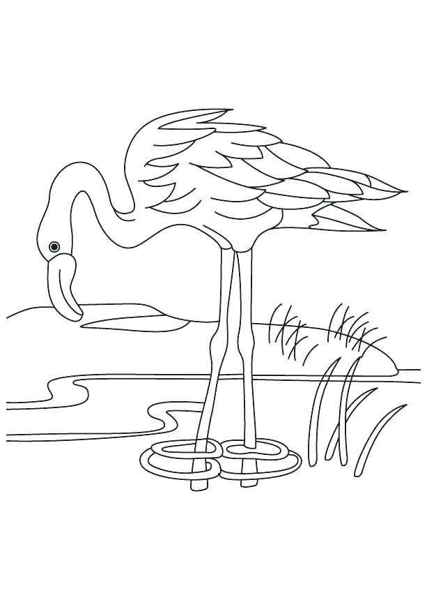 613x860 Pond Coloring Pages Flamingo Coloring Pages Flamingo In A Pond