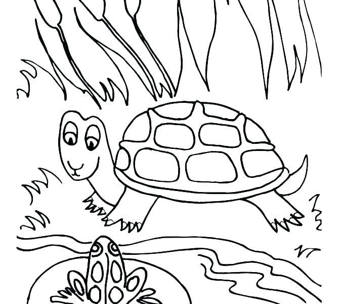 678x600 Pond Coloring Pages