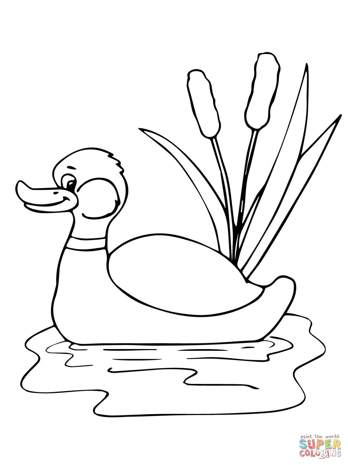 1200x1600 Pond Ecosystem Coloring Pages. Rivers And Ponds Lessons Tes Teach