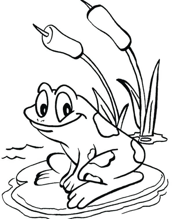 600x752 Lily Pad Frog Love To Sit On Lily Pad Pond Coloring Pages
