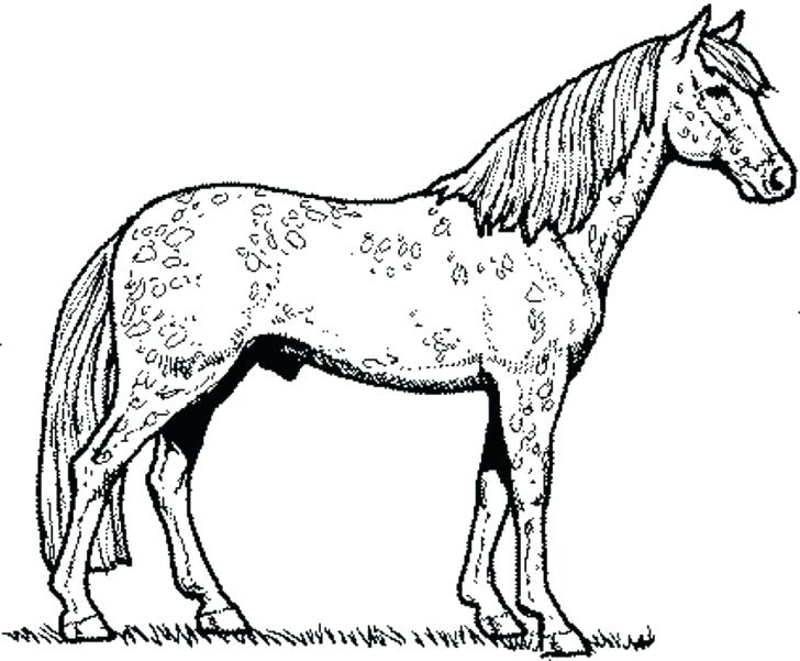 728x601 Horse And Pony Coloring Pages Free Horse Coloring Book Also Horse