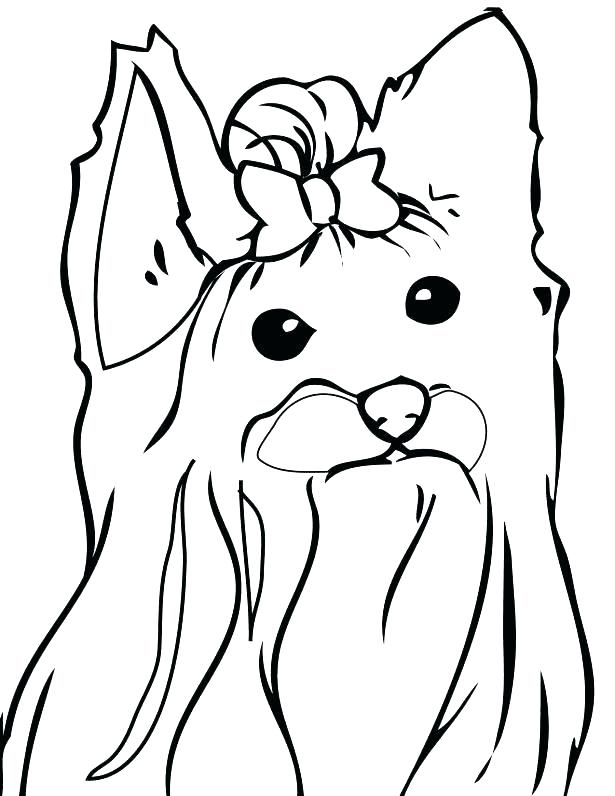 615x796 Yorkie Coloring Pages Coloring Page Pin Dog Terrier Printable