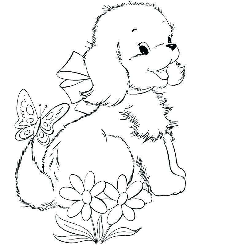 736x797 Yorkie Coloring Pages Coloring Pages Coloring Pages Coloring Pages