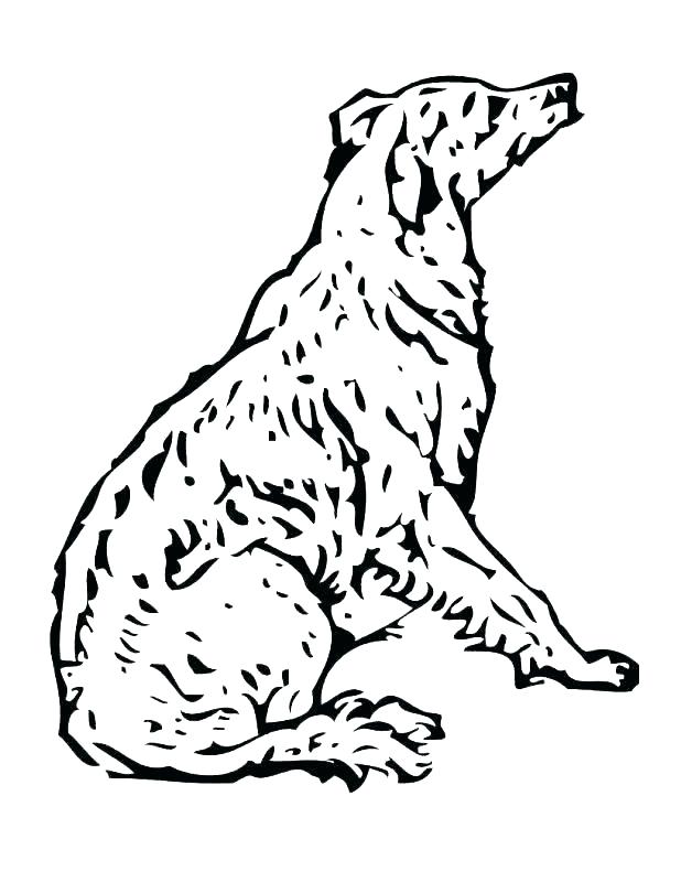 618x800 Poodle Coloring Page S S Poodle Puppy Coloring Pages