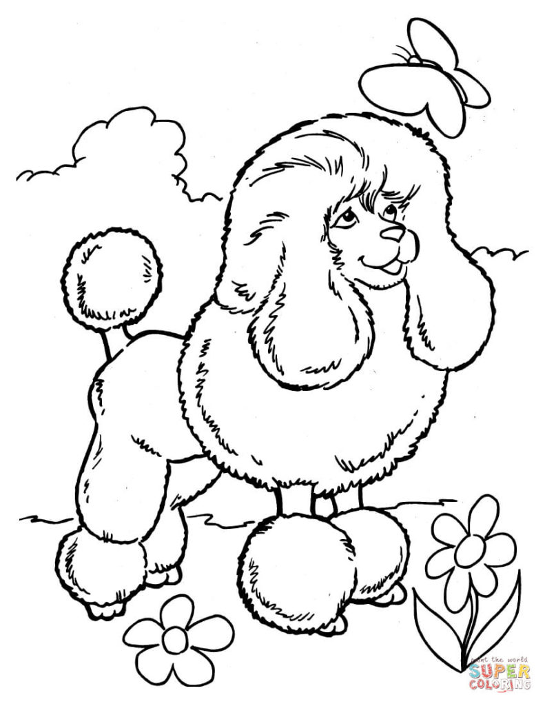 791x1024 Poodle Coloring Pages Get Bubbles