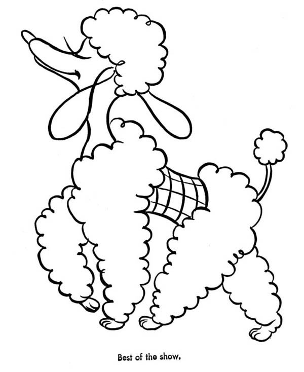 600x734 Poodle Coloring Pages Beautiful Poodle Coloring Pages Logo