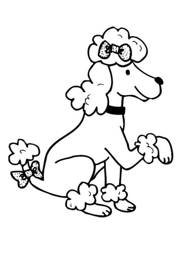 600x825 Poodle Coloring Pages Luxury Free Poodle Coloring Pages Az
