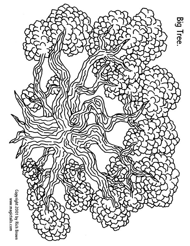 612x792 Disney Fairies Coloring Pages Rosetta Humorous Disney Fairies