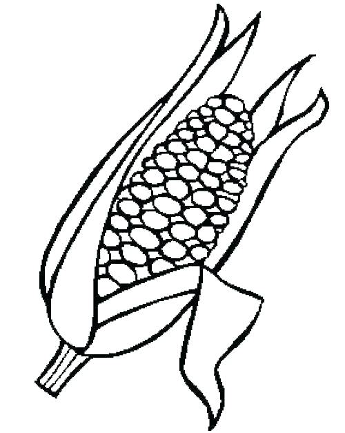 500x627 Popcorn Kernel Coloring Page Corn Coloring Pages Thanksgiving Corn