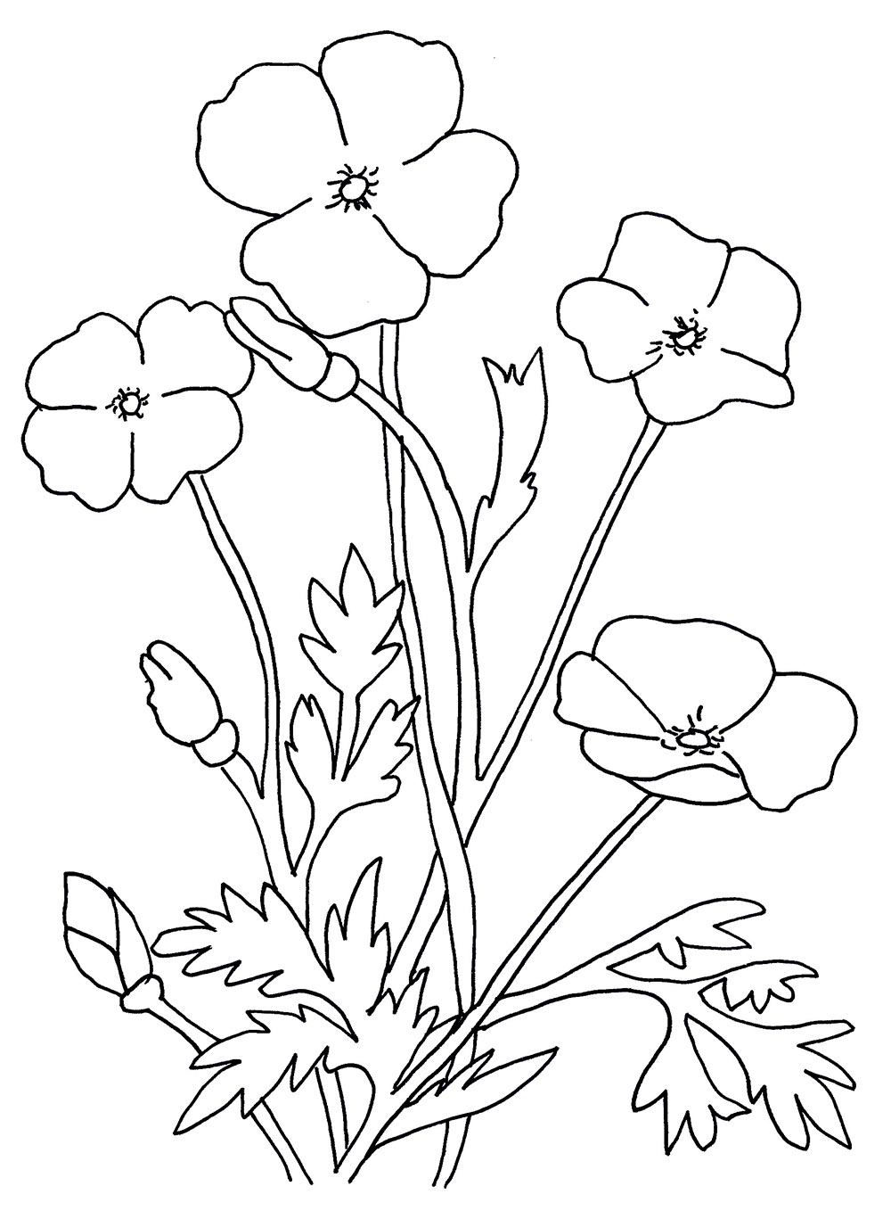 1000x1367 Exciting Poppy Colouring Page Poppies Coloring Pages Free