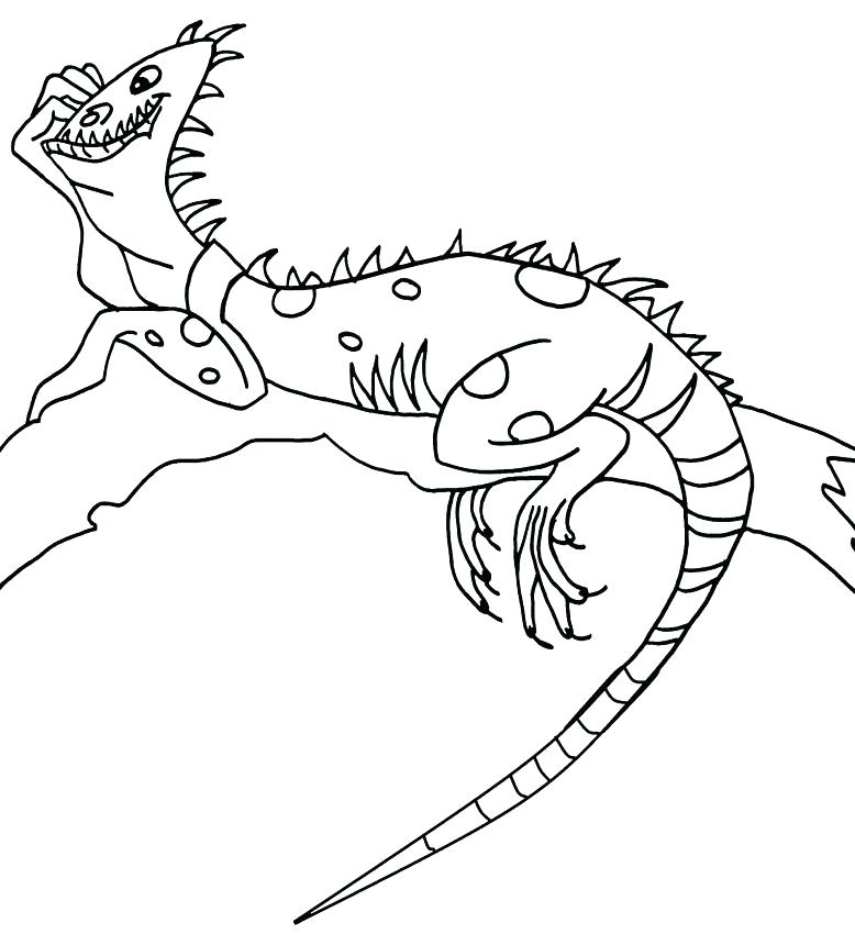 778x850 Porcupine Coloring Pages Click To See Printable Version Of North