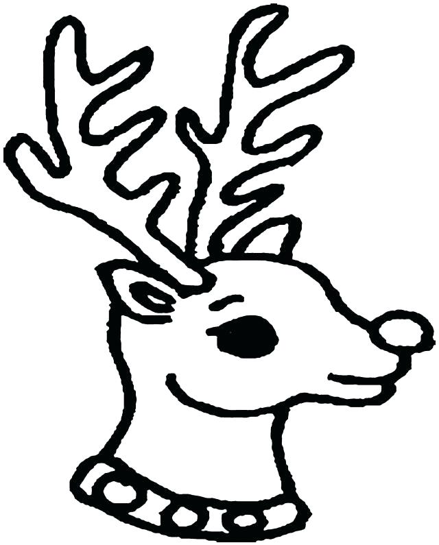 640x795 Porcupine Coloring Sheets Page