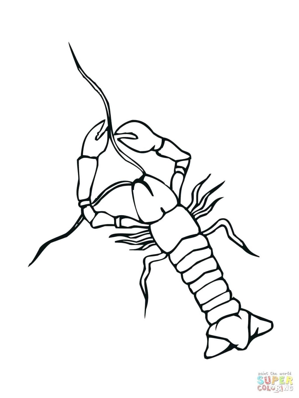1024x1365 Coloring Page ~ Porcupine Coloring Page Crayfish Free Printable