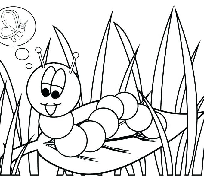 678x600 Free Printable Porcupine Coloring Pages Hedgehog Coloring Page