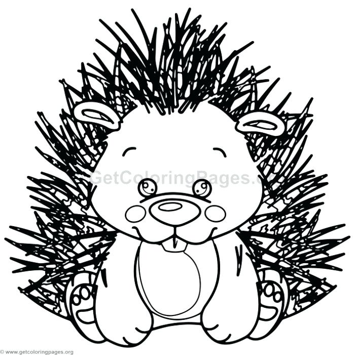 700x700 Hedgehog Coloring Page Hedgehog Coloring Page Free Printable
