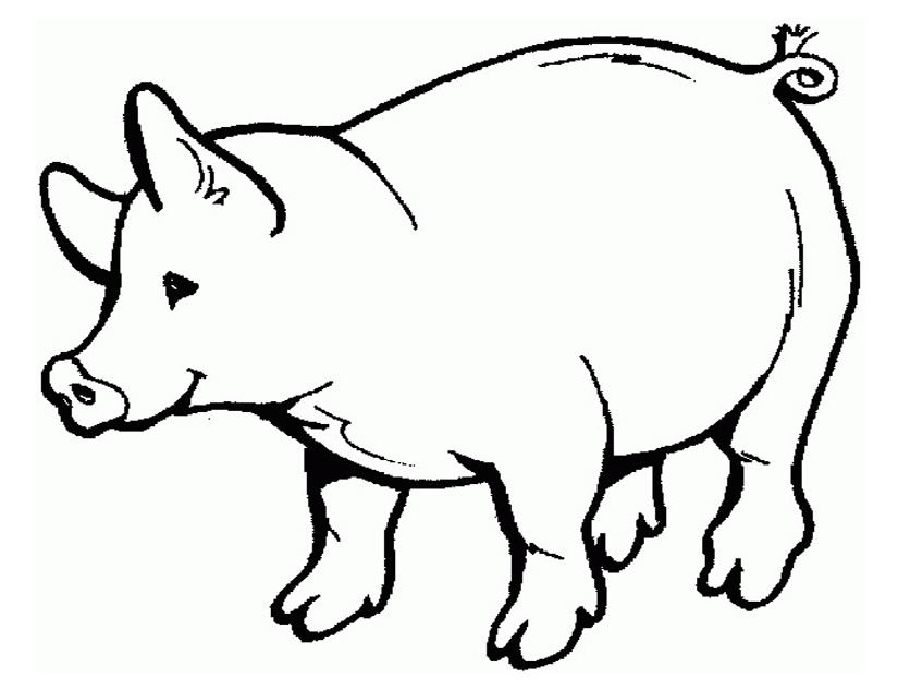 825x638 Pork