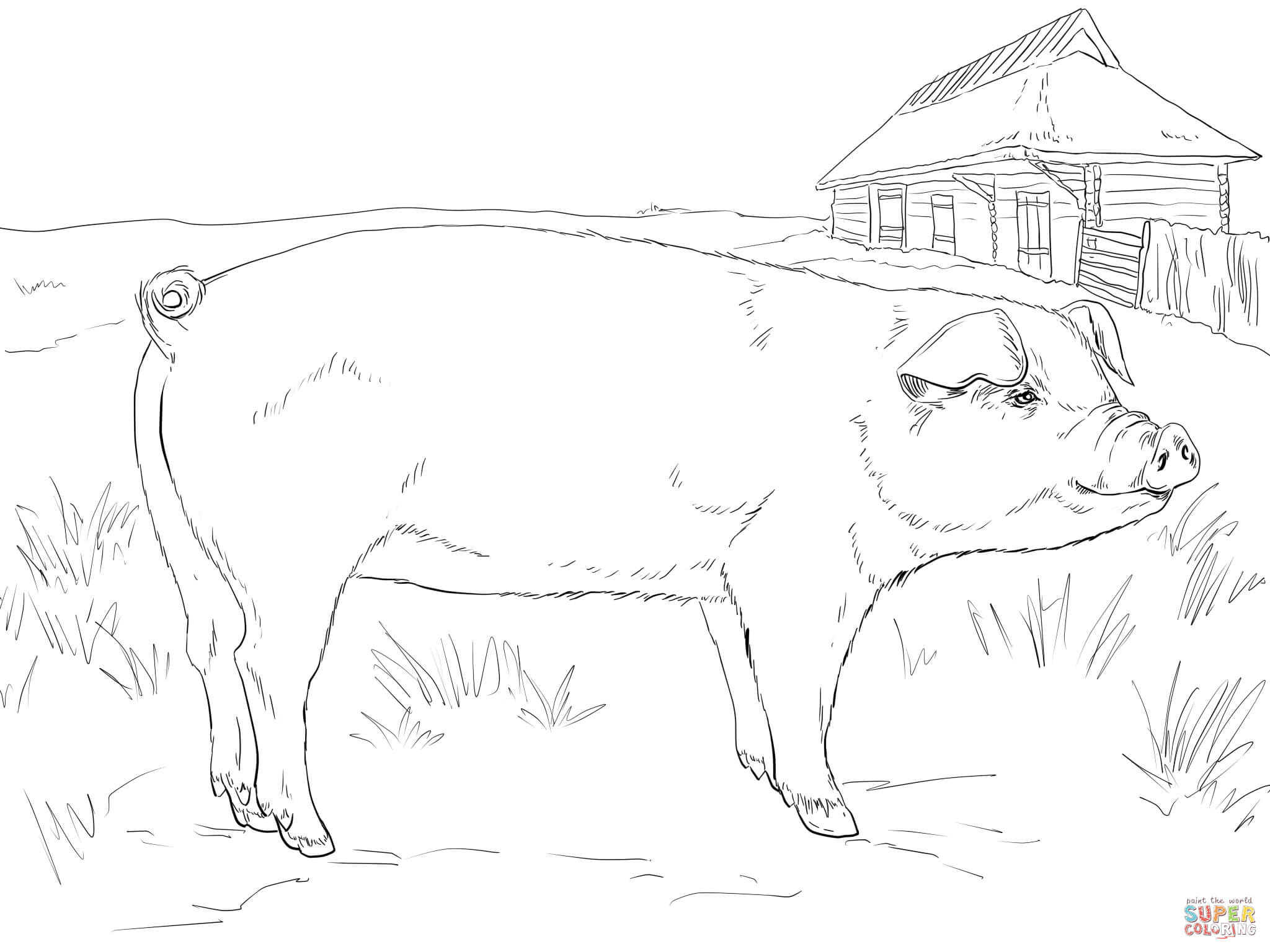 2048x1536 Coloring Page Adults Baby Pork 15 Adult Pages Pigs
