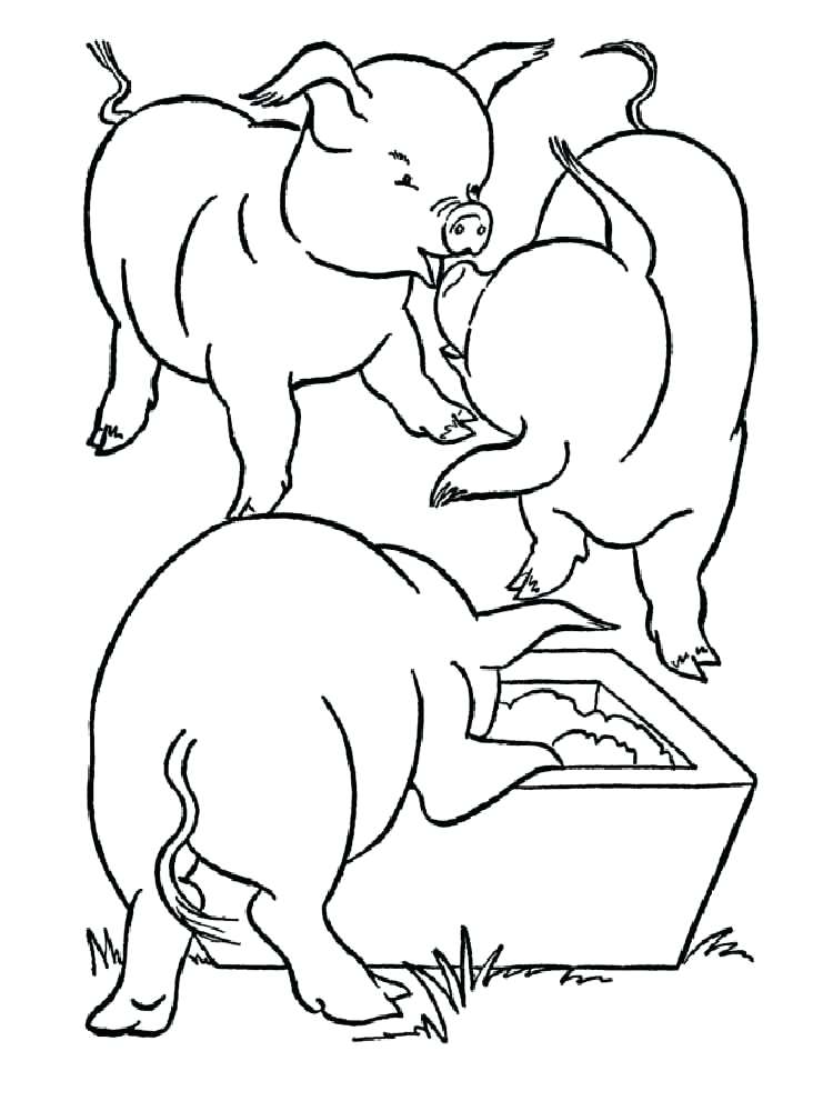 750x1000 Free Printable Pig Coloring Pages For Kids Animals Pig Coloring
