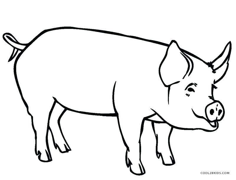 800x609 Pig Coloring Page Coloring Book Pig Together With 3 Little Pigs