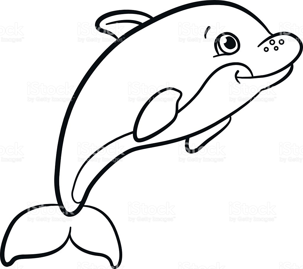 1024x911 Cute Baby Dolphin Coloring Pages Artcommission Me Incredible