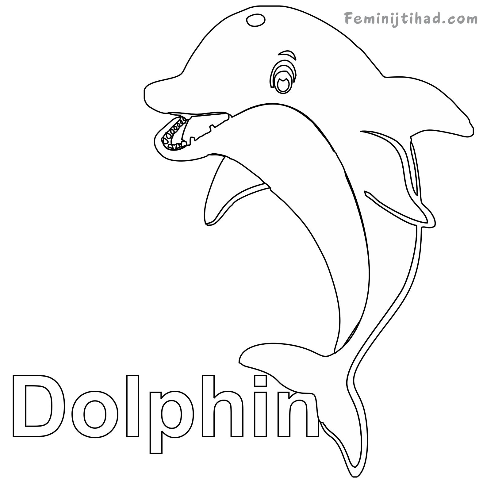 1575x1575 Dolphin Coloring Pages Printable Coloring Pages For Kids