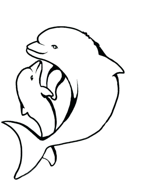 662x790 Dolphin Tale Coloring Pages Dolphin Coloring Pages To Print Out