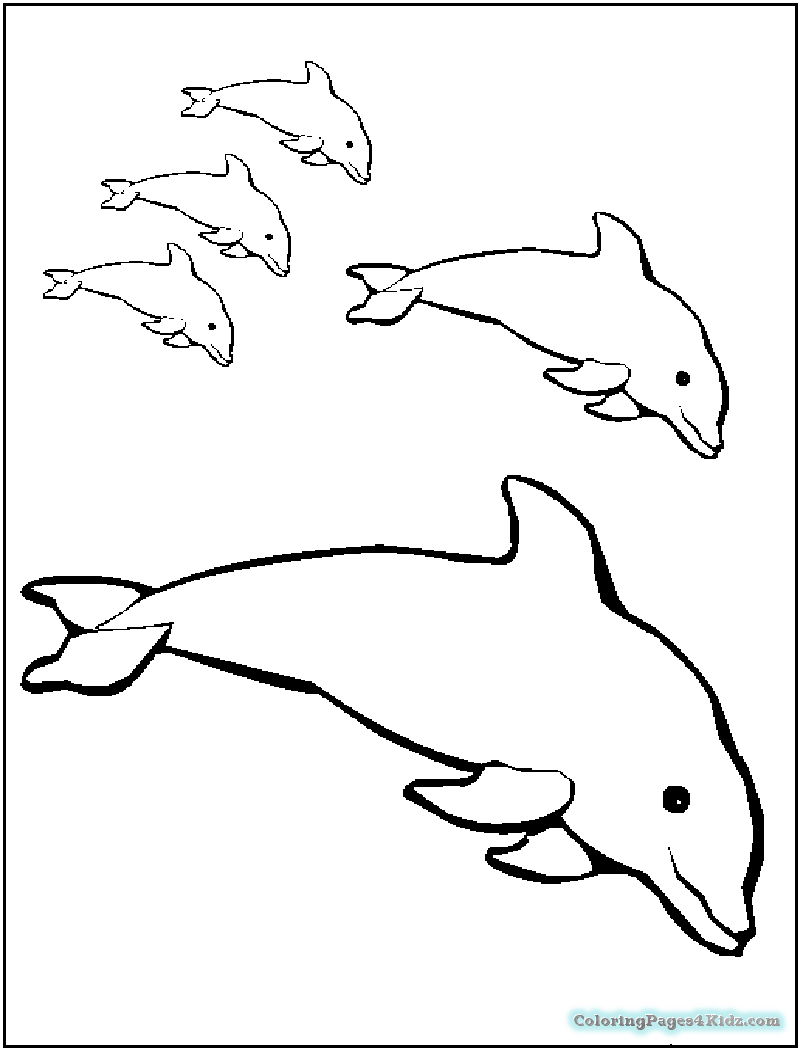 800x1050 Realistic Baby Dolphin Coloring Pages Coloring Pages For Kids