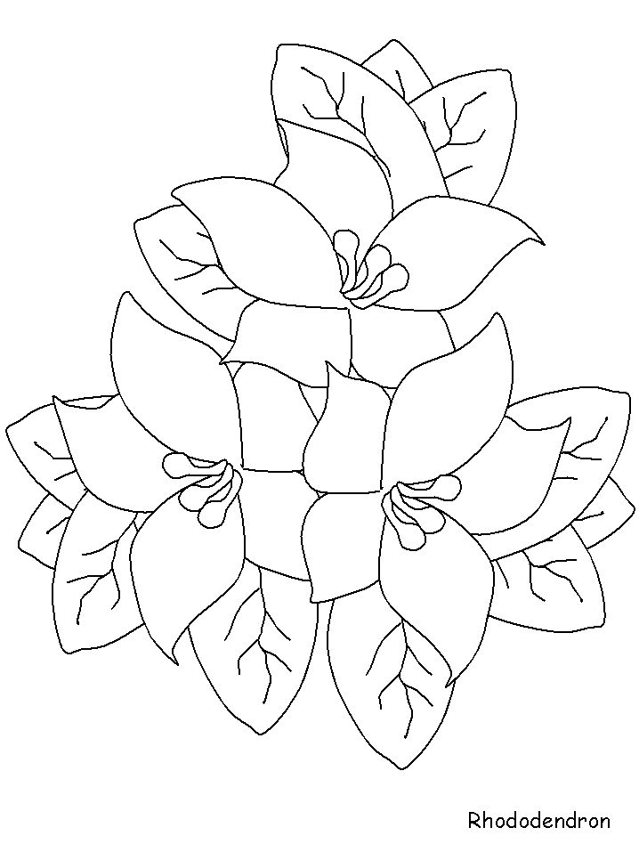 718x957 43 Best Coloring Activities