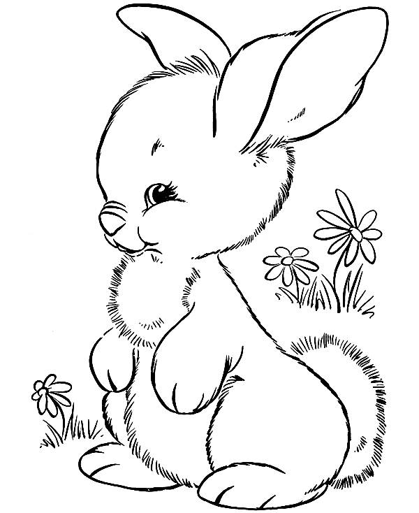 600x734 Desenhos De Coelhos Da Pamp193scoa Para Colorir Pintar Imprimir V