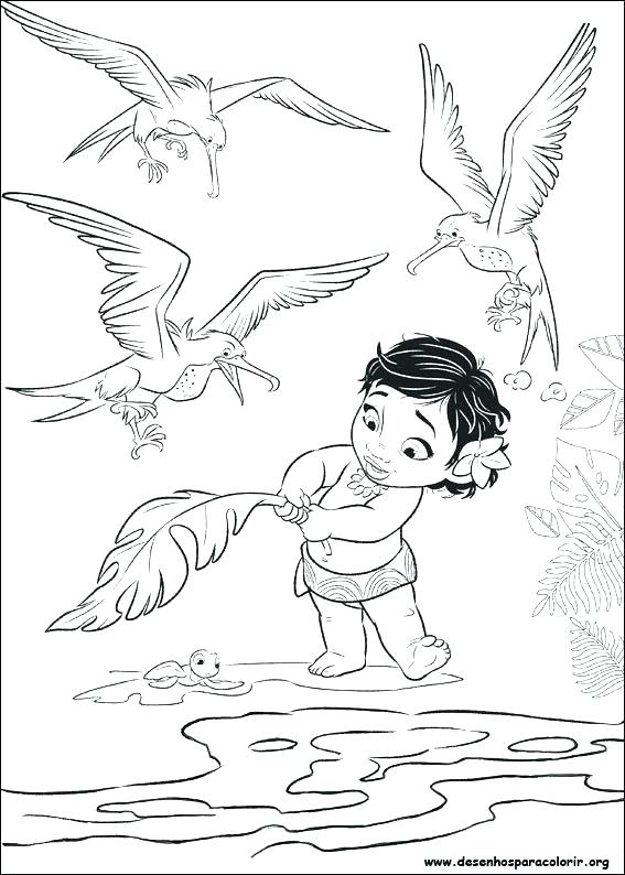 567x794 Portugal Flag Coloring Page Flags Of The World Coloring Pages Book