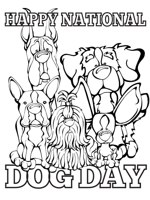 600x800 87 Best Coloring Pages And More Images On Red Squirrel