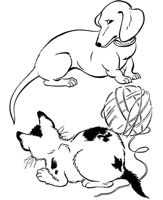 670x820 16 Best Dachshund Coloring Pages Images On Dachshund