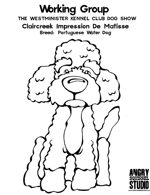 500x647 Pin By Angry Squirrel Studio On Westminster Kennel Club Dog Show