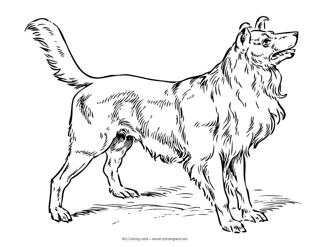 1056x816 Dogs Clor Page Dog Coloring Pages Alexis Dog