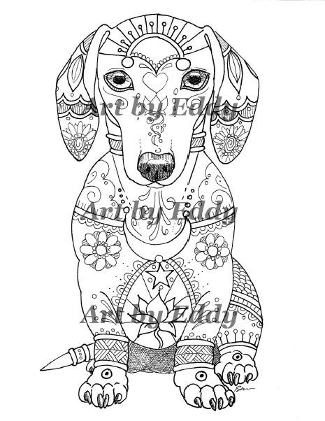 465x602 51 Best Dachshund Coloring Book