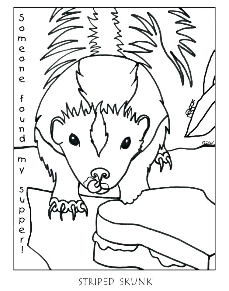 Possum Coloring Page