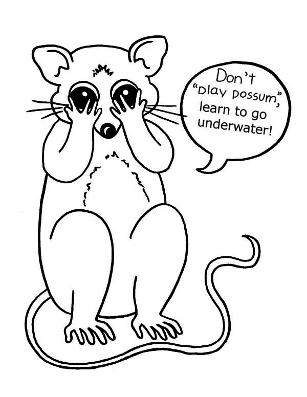 600x776 Possum Coloring Pages