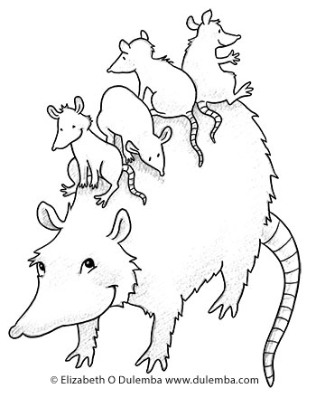 350x440 Possum Colouring Pages Dulemba Coloring Page Tuesday Possum Babies