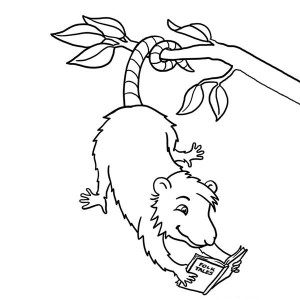 300x300 Cute Little Possum Coloring Page Color Luna