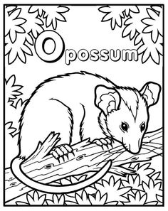 236x297 Opposum coloring page Opossum Coloring Page Vbs