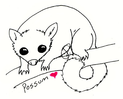 400x323 Cute Possum Drawing