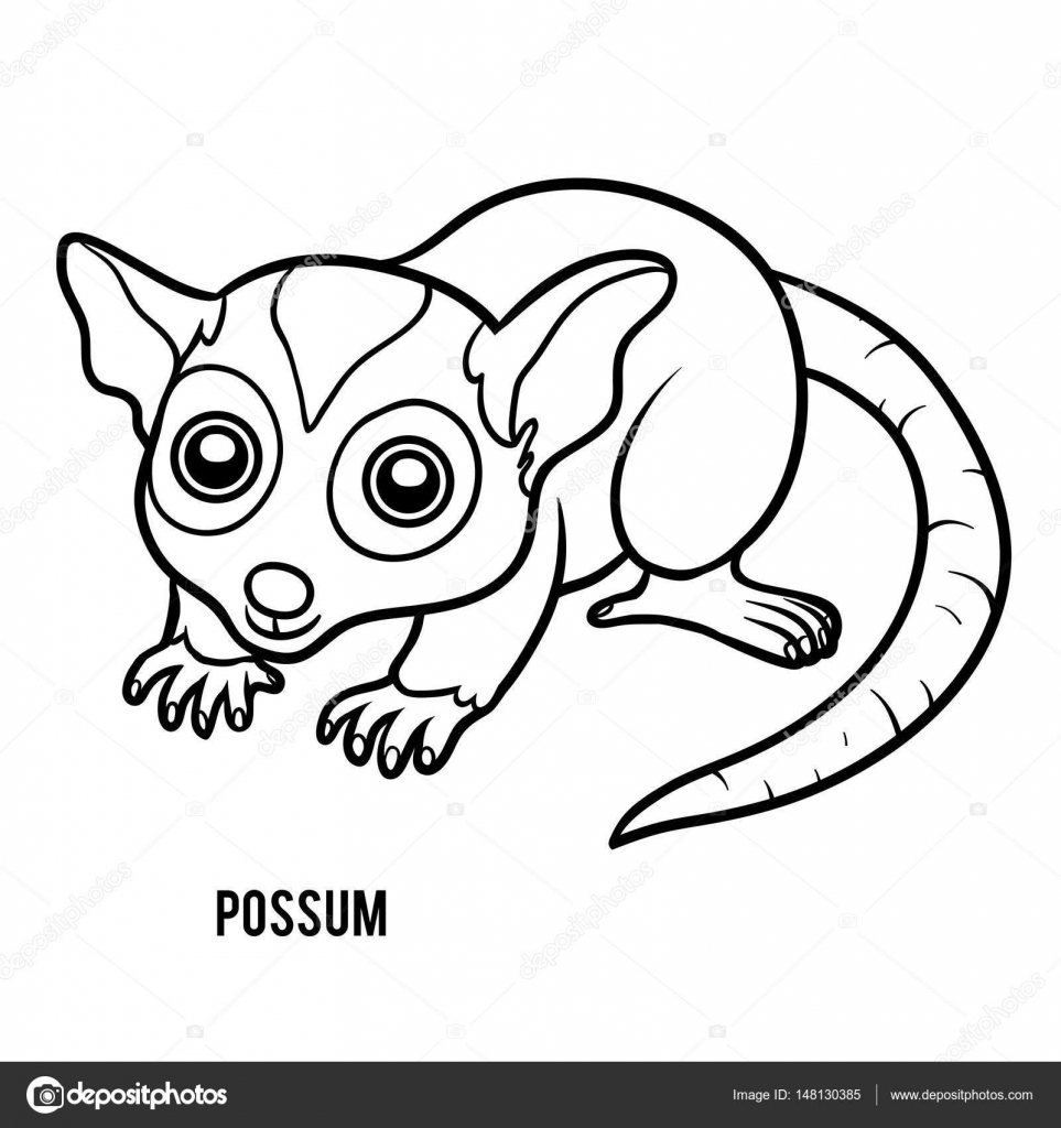 963x1024 Last Chance Possum Coloring Page Book Stock Ve