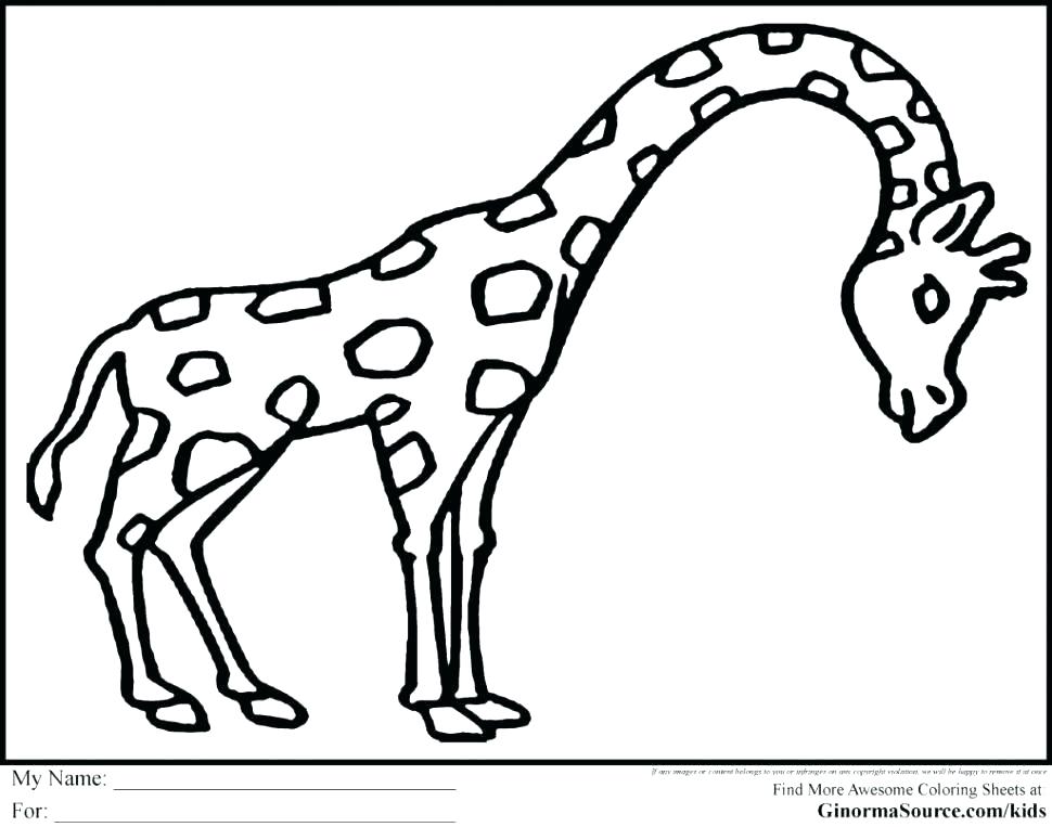 970x763 Opossum Coloring Pages Coloring Page Opossum Possum Colouring