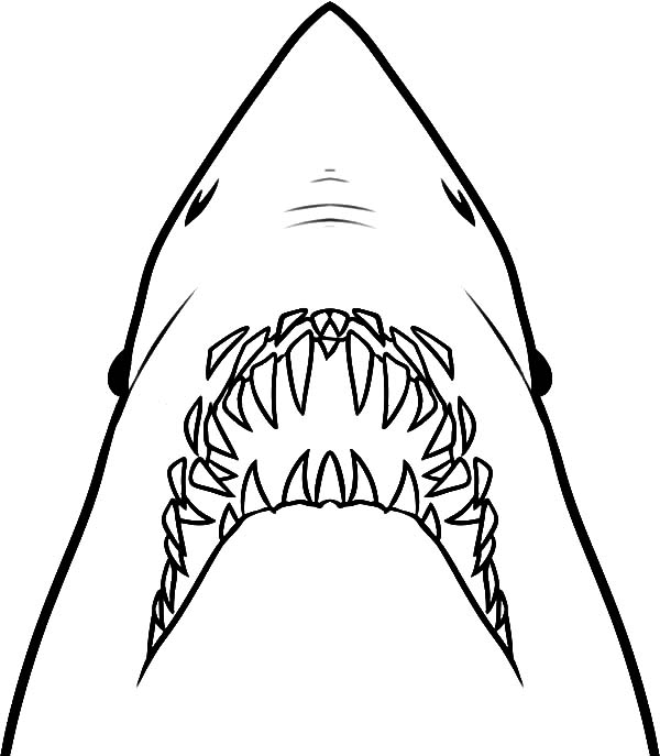 600x687 Jaws Ready To Ripped Out Coloring Pages Jaws Ready To Ripped Out
