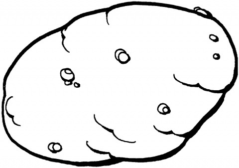 480x337 Potato Coloring Page Amp Coloring Book