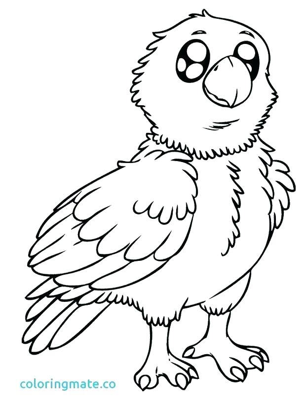 620x834 Pottery Coloring Pages Free Printable Adult Coloring Pages Vases